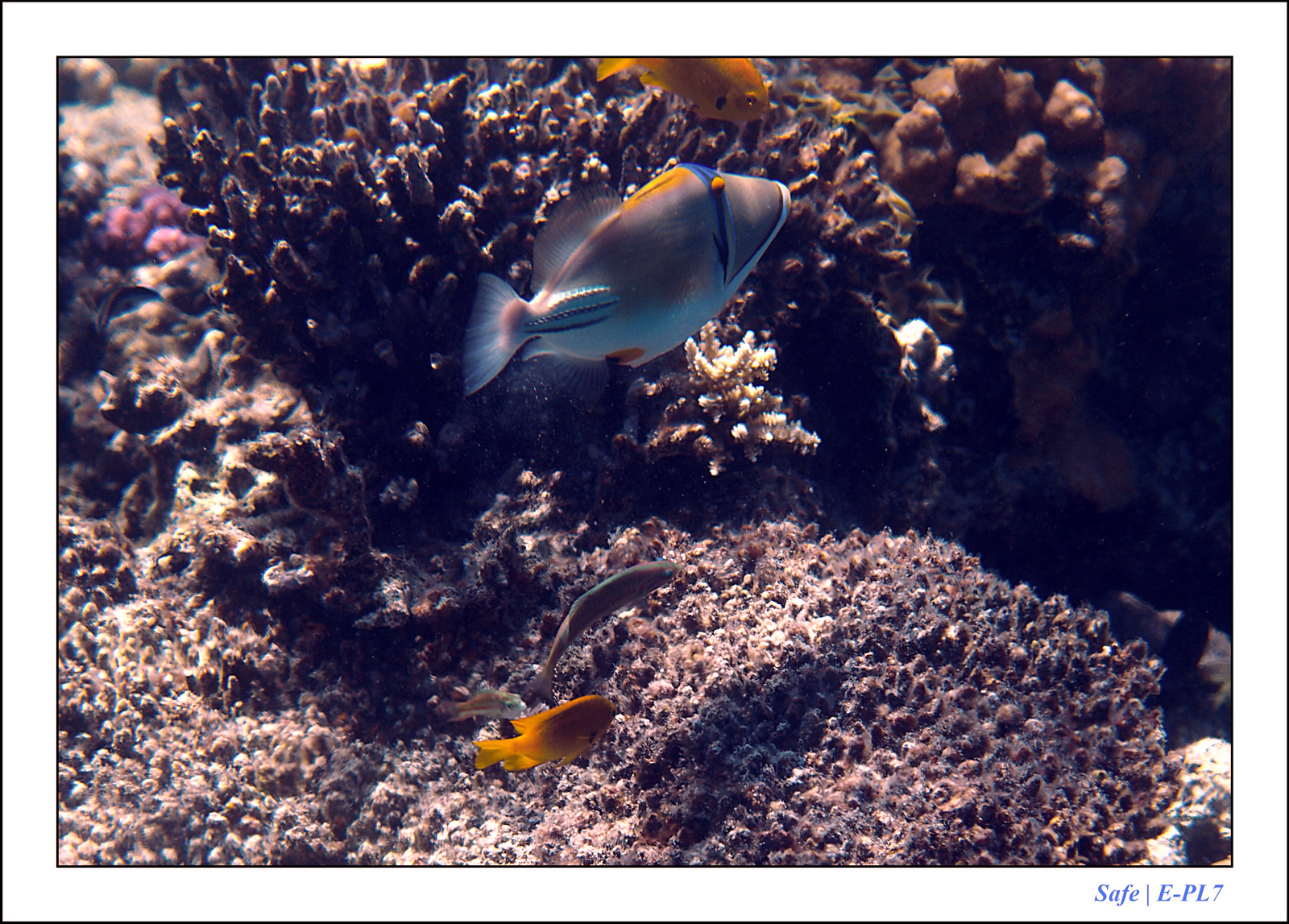 Hurghada - Juillet 2021 - 028